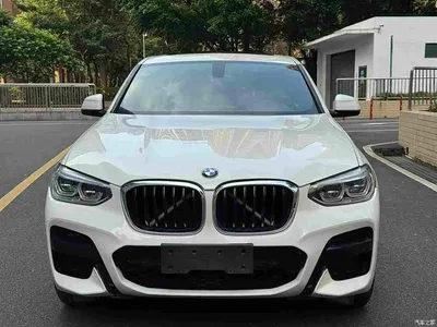 2019 BMW X4 xDrive25i M Sport Package, фото 3, лот 10412796
