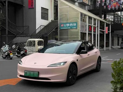 2025 Tesla Model 3 Model Rear-Wheel Drive Edition, фото 1, лот 11136524