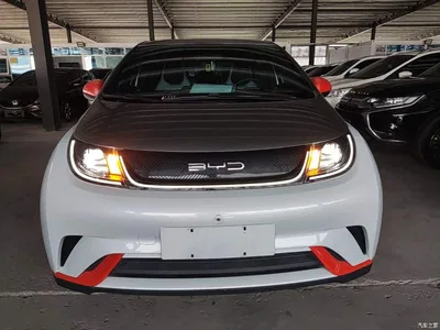 2021 BYD Dolphin 405km Freedom Edition, фото 3, лот 11192907