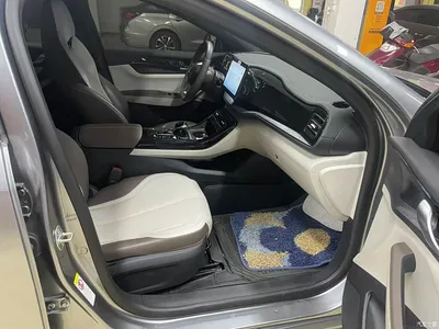 2023 BYD Qin PLUS Champion Edition DM-i 55KM Surpassing, фото 4, лот 10902871