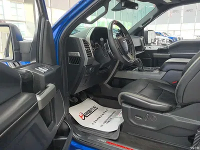 2019 Ford F-150 Raptor 3.5T Raptor Performance Enhanced Edition, фото 4, лот 10297766