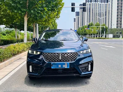 2020 WEY VV7 Model 2.0T Flagship, фото 2, лот 10451792