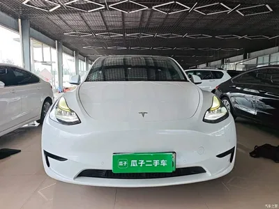 2022 Tesla Model Y Rear-Wheel Drive Version, фото 3, лот 10370018