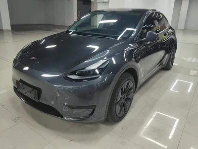 2024 Tesla Model Y Rear-Wheel Drive Version, фото 1, лот 10434631