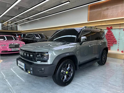 2024 Jetour Traveler 2.0T 4WD Cross PRO+ Entertainment Edition, фото 1, лот 10425132