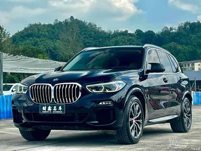 2019 BMW X5 (Import) xDrive40i M Sport Package, фото 1, лот 11249118