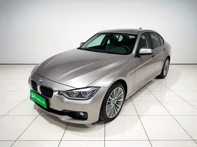 2018 BMW 3 Series 320Li Fashion Style, фото 1, лот 11196094