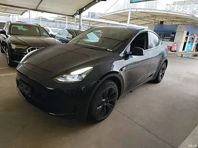 2024 Tesla Model Y Rear-Wheel Drive Version, фото 1, лот 11188106