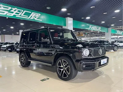 2019 Mercedes-Benz G-Class G 500, фото 3, лот 10243557