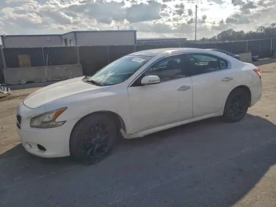 2009 NISSAN MAXIMA S, фото 1, лот 10805748