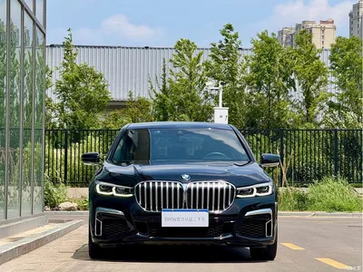 2019 BMW 7 Series 730Li M Sport Package, фото 2, лот 10458654