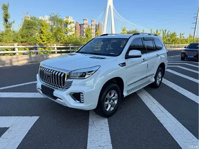 2022 Haval H9 2.0T Gasoline 4WD Elite 5-Seater, фото 1, лот 11218827
