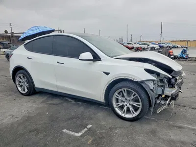 2020 TESLA MODEL Y, фото 4, лот 11184926