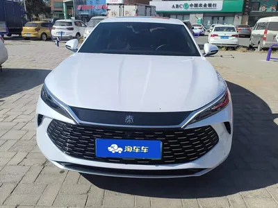 2023 BYD Qin PLUS Champion Edition DM-i 120KM Excellence, фото 2, лот 10955517