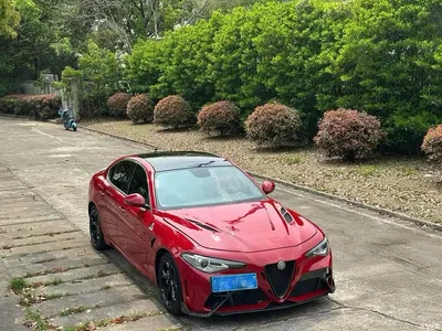 2017 Alfa Romeo Giulia 2.0T 280HP Luxury Edition, фото 3, лот 10239811
