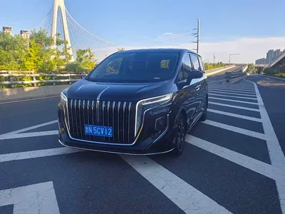 2023 Hongqi HQ9 2.0T Smart Connect Flag Enjoy Edition, фото 1, лот 10335379