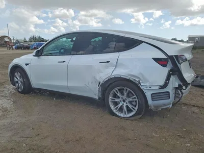 2021 TESLA MODEL Y, фото 2, лот 10855474