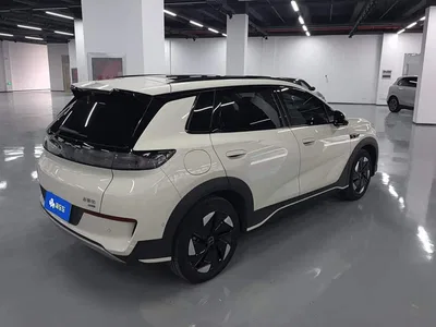 2025 BYD Hai Shi 05 EV 520KM Flagship Smart Navigation Edition, фото 3, лот 10273361