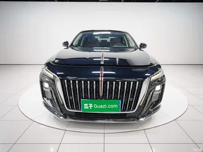 2024 Hongqi H5 2.0T Automatic Smart Connect Flag Smooth Edition, фото 3, лот 10289692