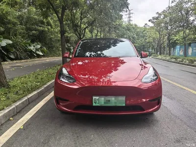 2022 Tesla Model Y Facelift Rear-Wheel Drive Version, фото 2, лот 10848907