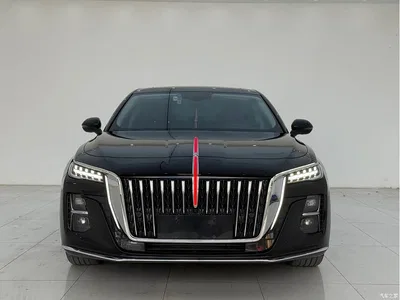 2023 Hongqi H5 1.5T DCT Smart Connect Flag Rhythm, фото 2, лот 11067382