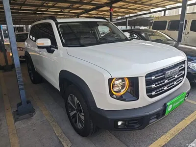 2022 Haval Big Dog 1.5T DCT FWD Labrador Edition, фото 4, лот 10615391