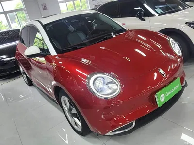 2021 Ora Good Cat 400km Standard Range Venus Edition (LFP), фото 4, лот 10330479