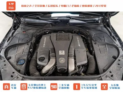 2014 Mercedes-Benz S-Class AMG AMG S 63 L 4MATIC, фото 4, лот 11225267