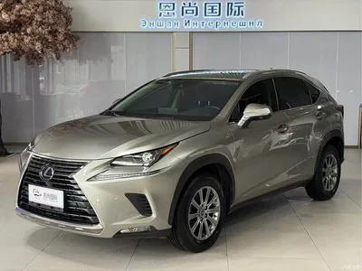 2018 Lexus NX Model 200 AWD Fengshang Edition China V, фото 1, лот 10319509