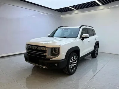 2024 Haval Big Dog 1.5T DCT Border Collie Edition, фото 1, лот 10361550