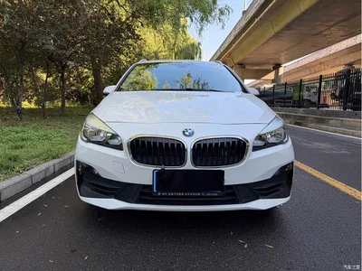 2019 BMW 2 Series Gran Tourer 220i Leading, фото 4, лот 10475005