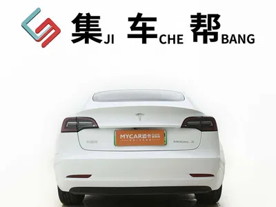 2022 Tesla Model 3 Model Rear-Wheel Drive Version, фото 4, лот 10593422