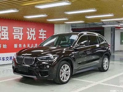 2018 BMW X1 sDrive20Li Leading Model, фото 1, лот 10464918