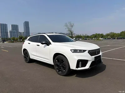 2020 WEY VV7 Model 2.0T Flagship, фото 3, лот 10611167