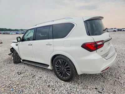 2024 INFINITI QX80 LUXE, фото 2, лот 10882955