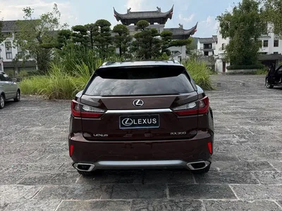 2016 Lexus RX 300 2WD Elite Edition (China V), фото 4, лот 10314108