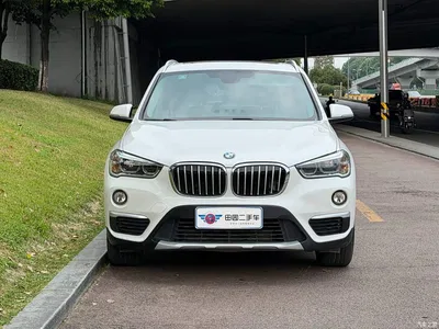 2019 BMW X1 sDrive18Li Premium Model, фото 2, лот 10465301