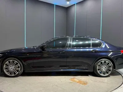 2019 BMW 5 Series 530Li xDrive M Sport Package, фото 4, лот 10954868