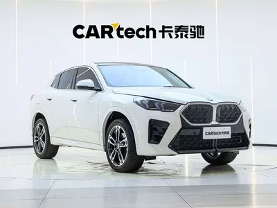 2025 BMW X2 (Import) sDrive25i M Sport Package, фото 2, лот 10765743