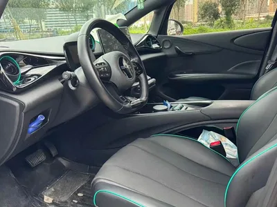 2023 BYD Dolphin 401km Knight Edition, фото 4, лот 10246098
