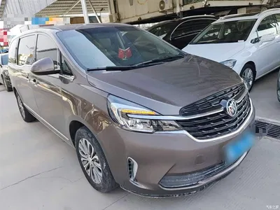 2020 Buick GL8 Model Land Business Class 652T Luxury, фото 4, лот 10262342