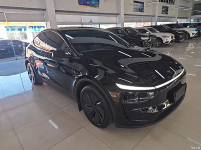 2025 Tesla Model Y Rear-Wheel Drive, фото 4, лот 11003102