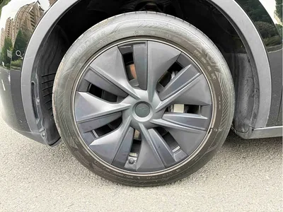 2023 Tesla Model Y Rear-Wheel Drive Edition, фото 4, лот 11102981