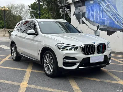 2021 BMW X3 xDrive25i Luxury Package, фото 3, лот 10460695