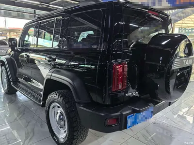 2021 Tank 300 Off-road Version 2.0T Conqueror, фото 4, лот 10344575
