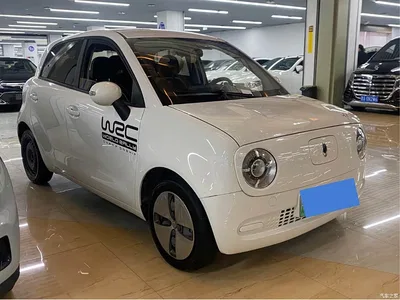 2021 Ora Black Cat 301km Basic Model, фото 3, лот 11203020