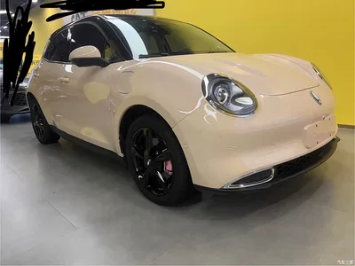 2024 Ora Good Cat 401km Premium 126kW, фото 3, лот 10331550