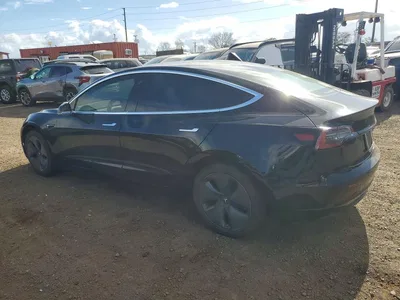 2019 TESLA MODEL 3, фото 2, лот 10851216