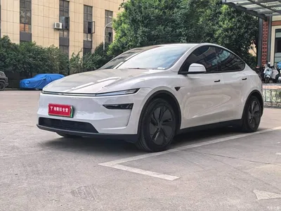 2026 Tesla Model Y Rear-Wheel Drive, фото 1, лот 11249686