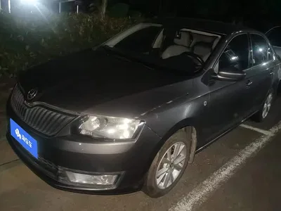 2016 Škoda Rapid 1.6L Automatic Pioneer Edition, фото 1, лот 10395124